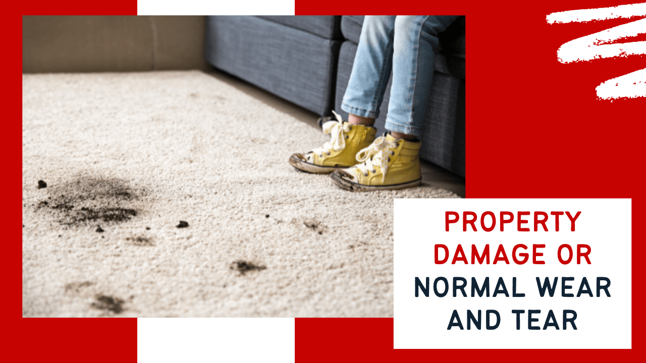 Property Damage or Normal Wear and Tear? Norfolk Property Management